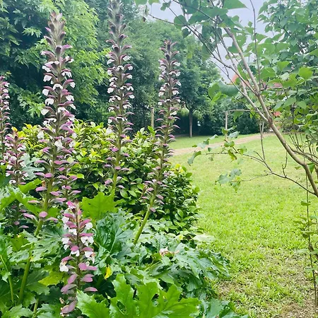 Maison 4 Centre - Aveyron