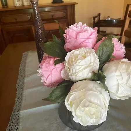 Feriehus Maison 4 Centre - Aveyron