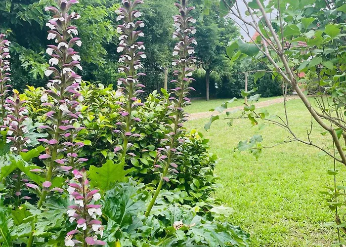 Maison 4 Centre - Aveyron